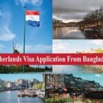 Marketing Agency Expert