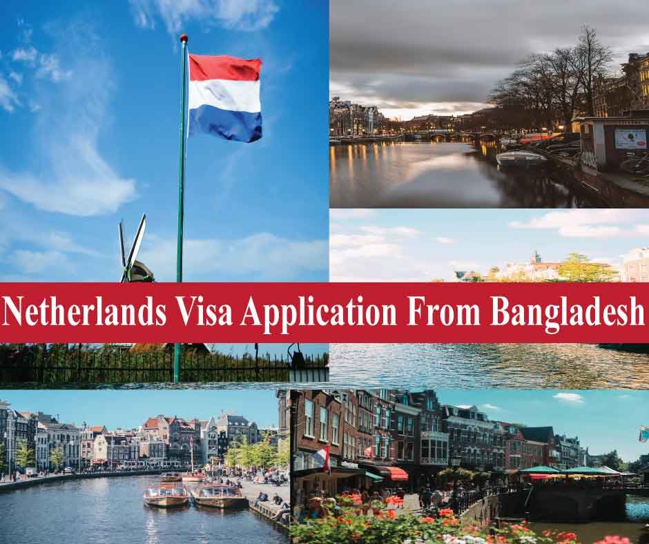 Marketing Agency Expert